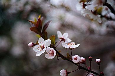 复古街机小游戏合集《Coin-Op Vice》发售日宣布 9月26日正式推出